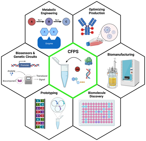Hexagon diagram with cell-free protein synthesis at the center, surrounded by its applications: metabolic engineering, optimizing production, biomanufacturing, biomolecule discovery, prototyping, and biosensors and genetic circuits.