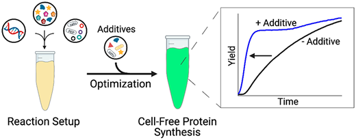 Graphical abstract showing additives used to optimize cell-free protein synthesis reaction times.