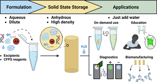 Solid-state storage workflow for cell-free expression, from formulation to storage and applications.