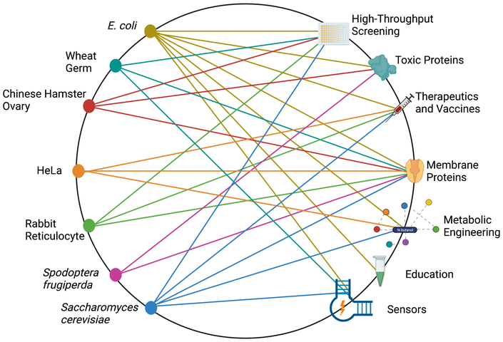 Circular diagram linking cell-free expression systems from E. coli, wheat germ, Chinese hamster ovary, HeLa, rabbit reticulocyte, Spodoptera frugiperda and Saccharomyces cerevisiae to applications such as high-throughput screening, toxic proteins, therapeutics and vaccines, membrane proteins, metabolic engineering, education, and sensors.